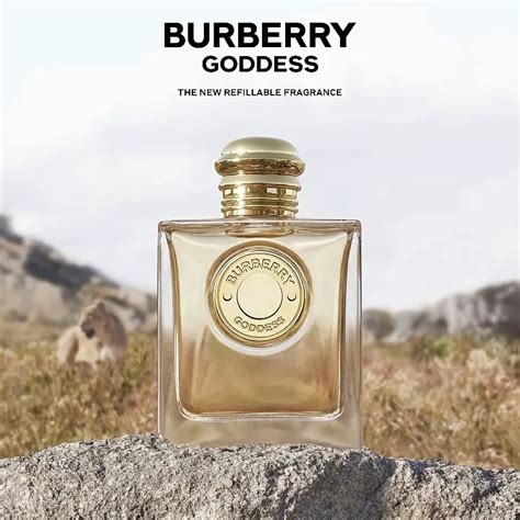 douglas perfumy burberry|burberry goddess official website.